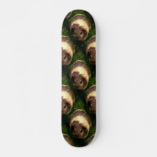 Agouti Guinea Pig in Grass Skateboard (Voorkant)