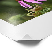 Agrandissement de la photo des fleurs de macro (Coin)