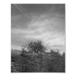 Agrandissement de photo
