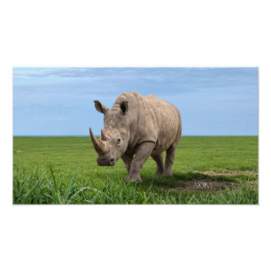 Agrandissement de photo de rhinocéros debout sur u