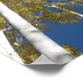 Agrandissement des Aspens (5) Poster (Coin)