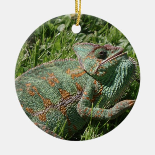 Agressieve Chameleon Ornament (Voorkant)