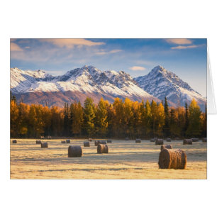 Agriculture en Alaska