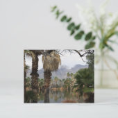 Agua Caliente Park Tucson Az Briefkaart (Staand voorkant)