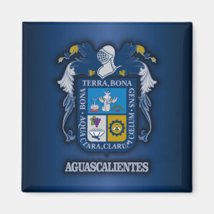 Aguascalientes Magneet