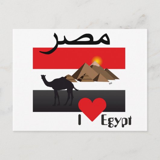 Ägypten - Egypt Postkarte Briefkaart (Voorkant)