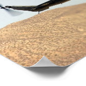 AH-1 Cobra Poster (Hoek)