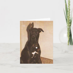 AH- de Hond Notecards van great dane of Kaart