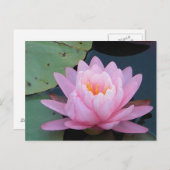 AH-Roze Briefkaart Lily Water (Voorkant / Achterkant)