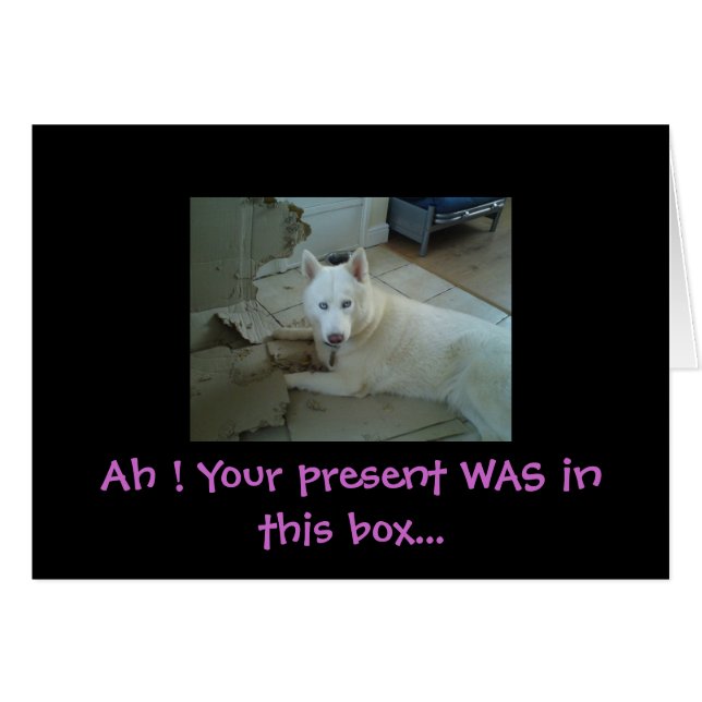 Ah ! Ton cadeau était... (Devant horizontal)