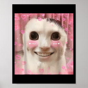 Ahh kat meme dank vervloekt Weirore grappig dank m Poster