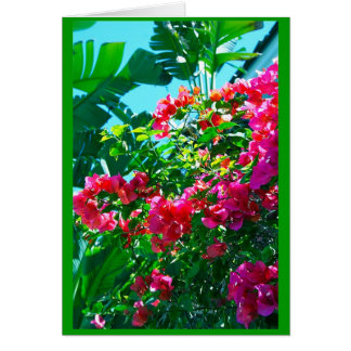 Ahh… la Floride