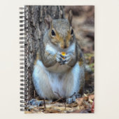 Ahhh... C'est le dîner (Devant)