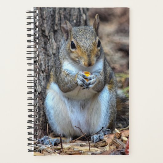 Ahhh... C'est le dîner (Devant)