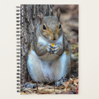 Ahhh... Het is Dinnertime Planner