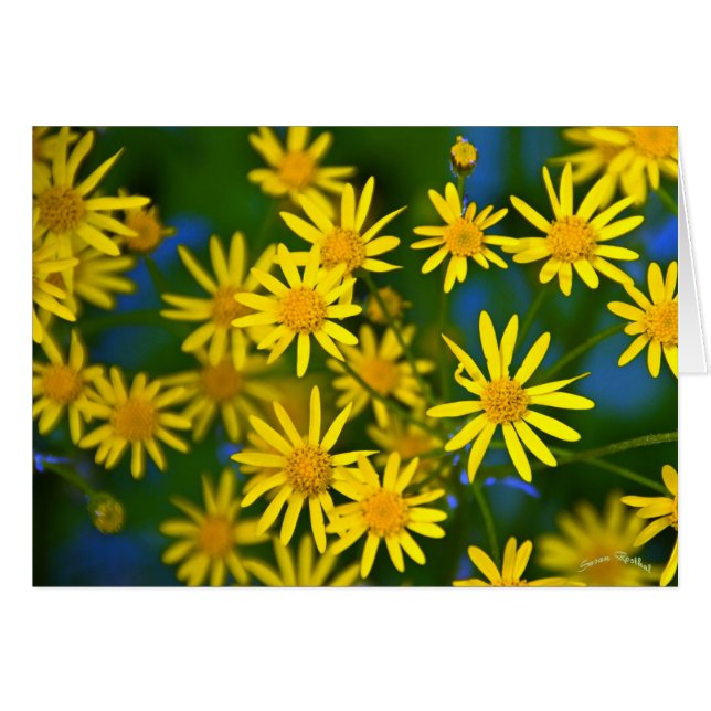 Ahhh, Spring (Voorkant Horizontaal)