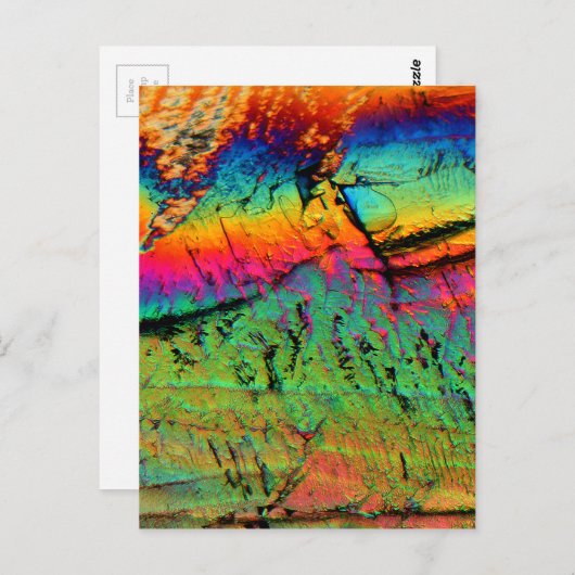 ahornstroop onder een microscoop briefkaart (Voorkant / Achterkant)