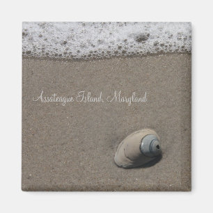 AI Clam Shell Magnet Magneet