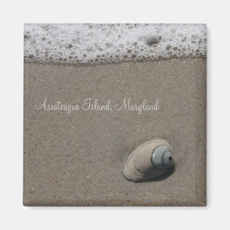 AI Clam Shell Magnet Magneet