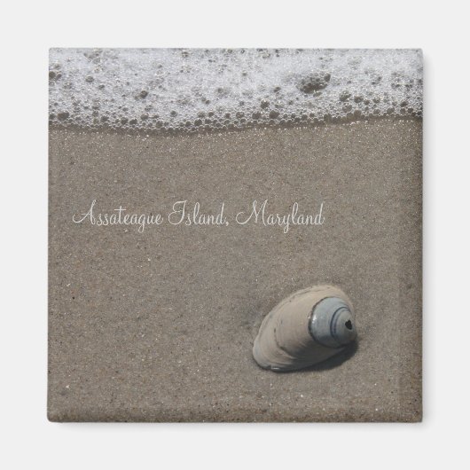 AI Clam Shell Magnet Magneet (Voorkant)