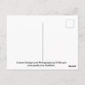 AI DOLPHIN SWIM #1 BRIEFKAART (Achterkant)