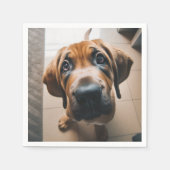 AI-hond Servet (Voorkant)