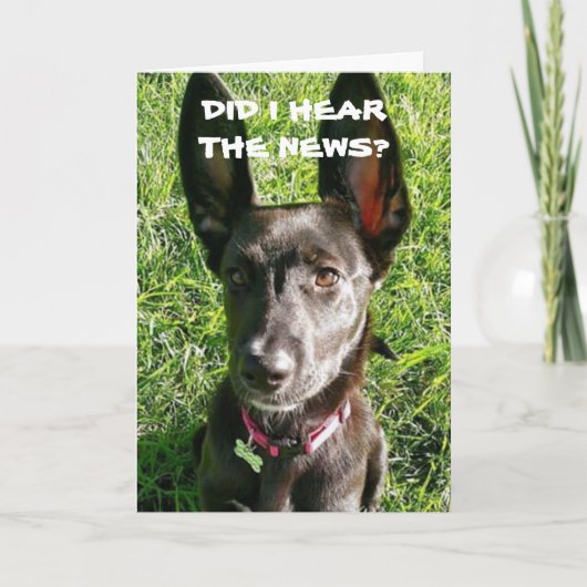 AI-JE "ENTENDU" VOUS ÊTES "21" CARTE DE NAISSANCE (Devant)