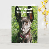 AI-JE "ENTENDU" VOUS ÊTES "21" CARTE DE NAISSANCE (Fleur jaune)