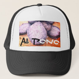 "AI PONO Trucker Hat Trucker Pet