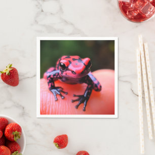 Ai Red Frog Servet