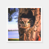 AI-uil Servet (Voorkant)