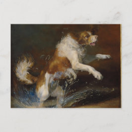 AI wet Dog Briefkaart