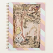 AICE ICI STRIPES ET PLAID (Devant)