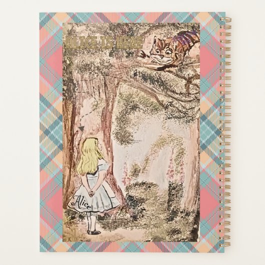 AICE ICI STRIPES ET PLAID (Dos)