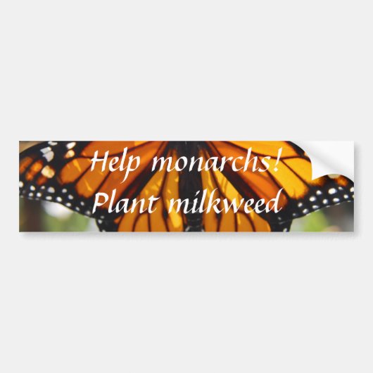 Aide monarques, plante milkweed - Bumper sticker (Devant)