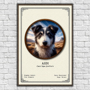 Aidi Zoölogie Serie Poster