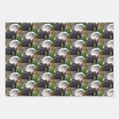 Aigle à balles - Feuilles de papier à envelopper (Devant)