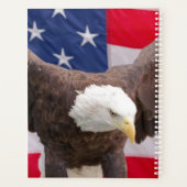 Aigle à tête blanche 2024 (Dos)