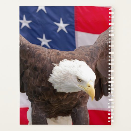 Aigle à tête blanche 2024 (Dos)