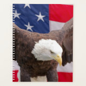 Aigle à tête blanche 2024 (Devant)