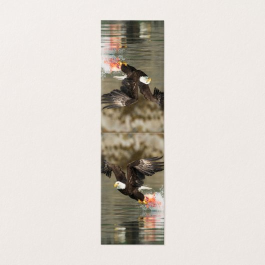 Aigle à tête plate (Outside Unfolded)