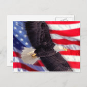 Aigle américain avec carte postale du drapeau amér (Devant / Derrière)