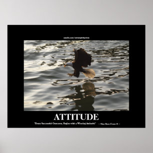 Aigle Attitude Réussie Motivation Photo Impression