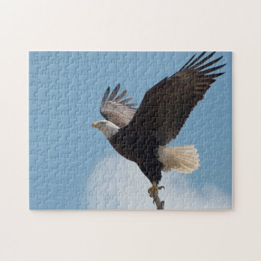 Aigle Bald Lifting Off - Puzzle (Horizontal)