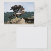 Aigle Bald Prêt Pour Le Décollage - cartes de visi (Devant / Derrière)