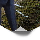 Aigle Bald Sur Une Affiche De Corde (Coin)