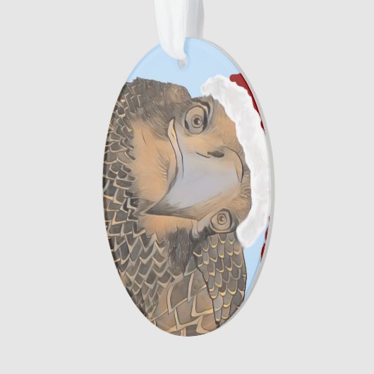 Aigle Bald SWFL Qui Est Ce Beau Aigle, E9 (devant)