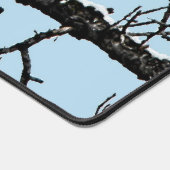 Aigle de Bald (Coin)