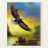 Aigle de Bald (Dos)