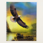 Aigle de Bald (Devant)